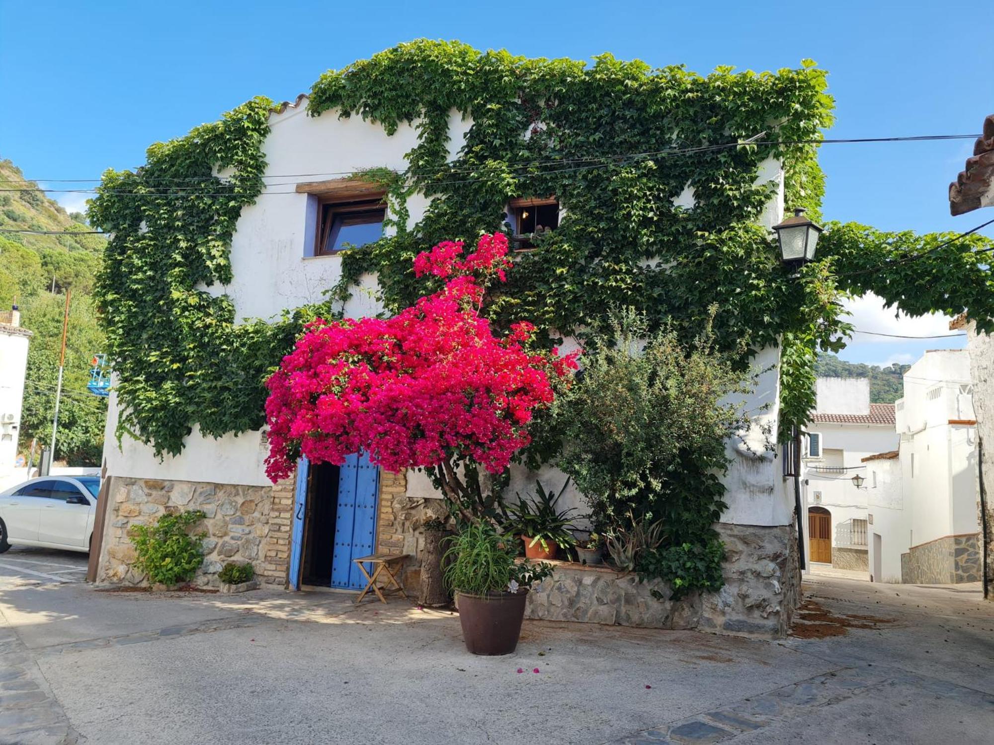 Casa La Yedra By Casaturistica Vila Benarrabá Exterior foto