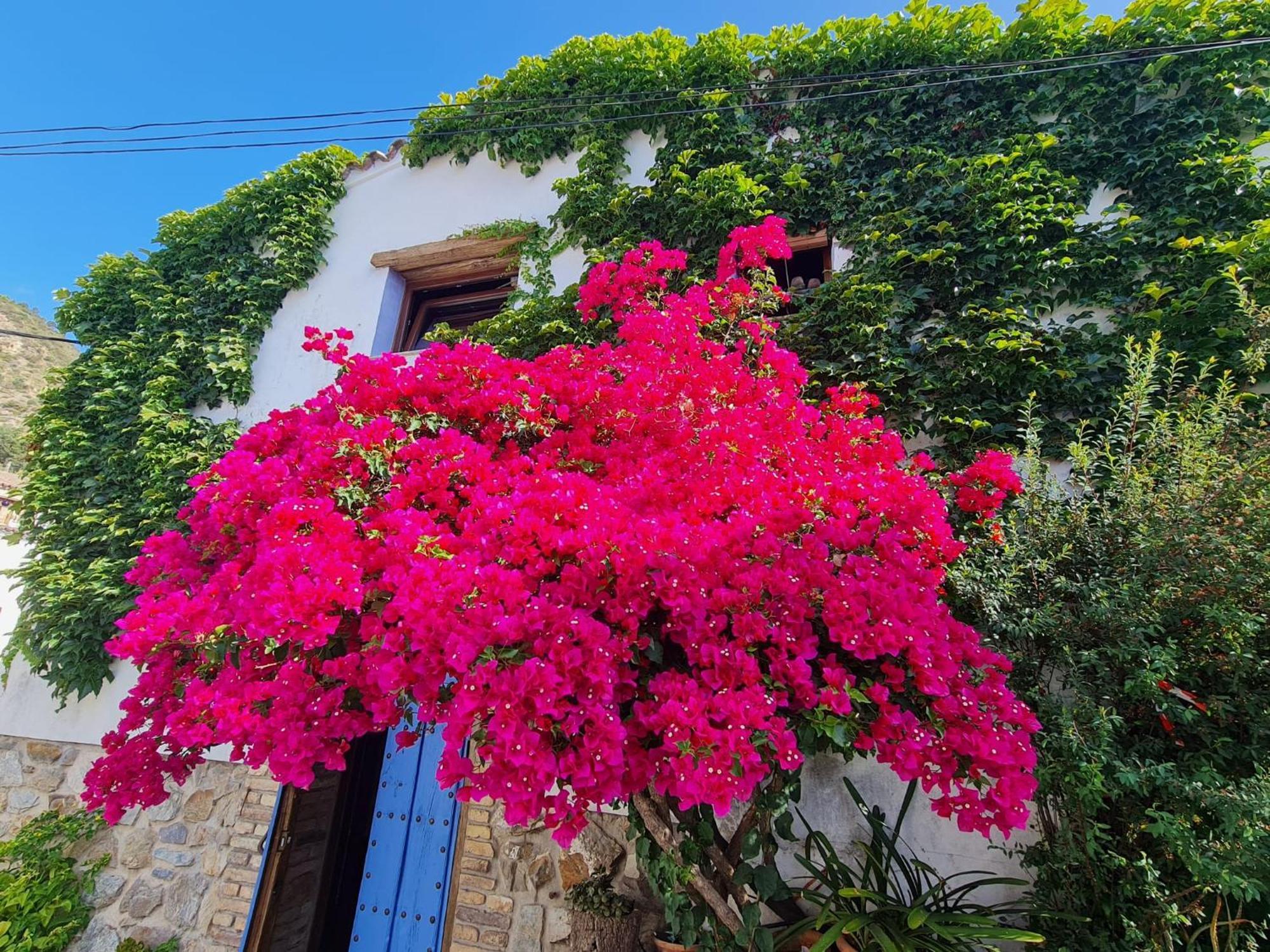 Casa La Yedra By Casaturistica Vila Benarrabá Exterior foto